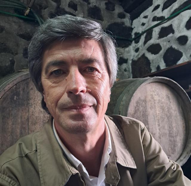 Esperada produção a rondar as 900 toneladas de uva para vinho certificado