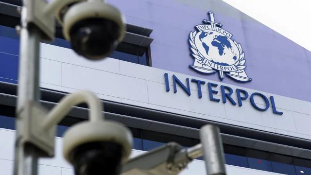 Brasil e Moçambique envolvidos em vasta operação da Interpol com 3744 detidos