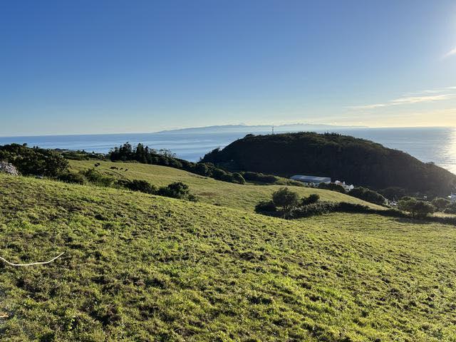 Antigo autarca na ilha de São Jorge comprou cabeceira para sepultura da mulher com fundos da Junta