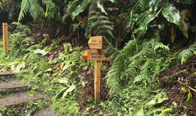 Metade da atividade turística de algumas ilhas dos Açores está ilegal 