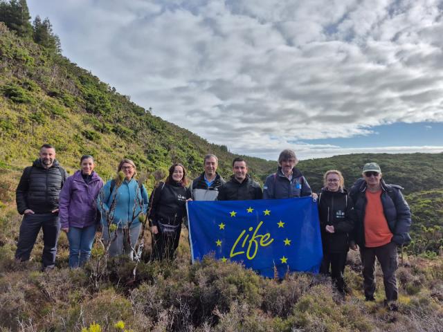 Projeto alcança “aumento significativo” de espécies de escaravelhos dos Açores