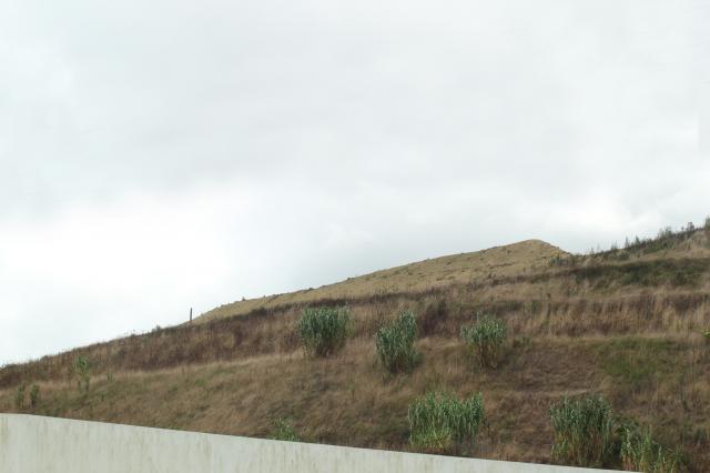 MUSAMI acusada de crime de poluição no aterro das Murtas