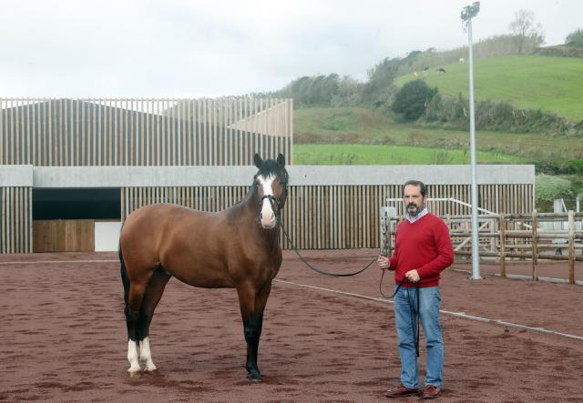 Primeiro hotel dos Açores a incluir atividades com cavalos lusitanos