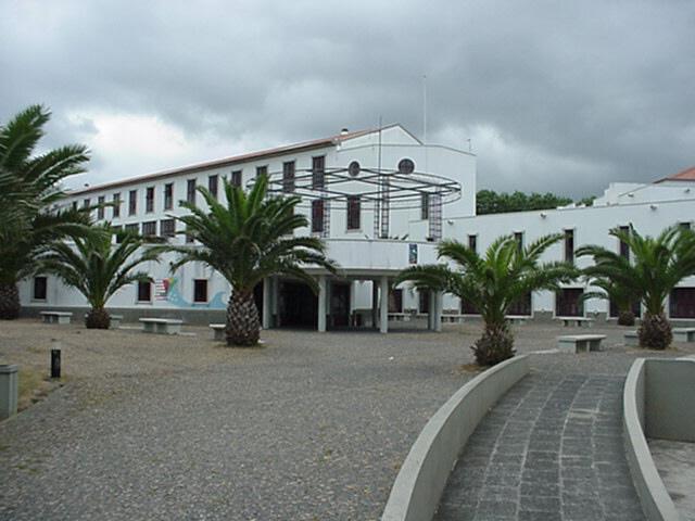 Governo congratula-se com atribuição do selo protetor a escolas