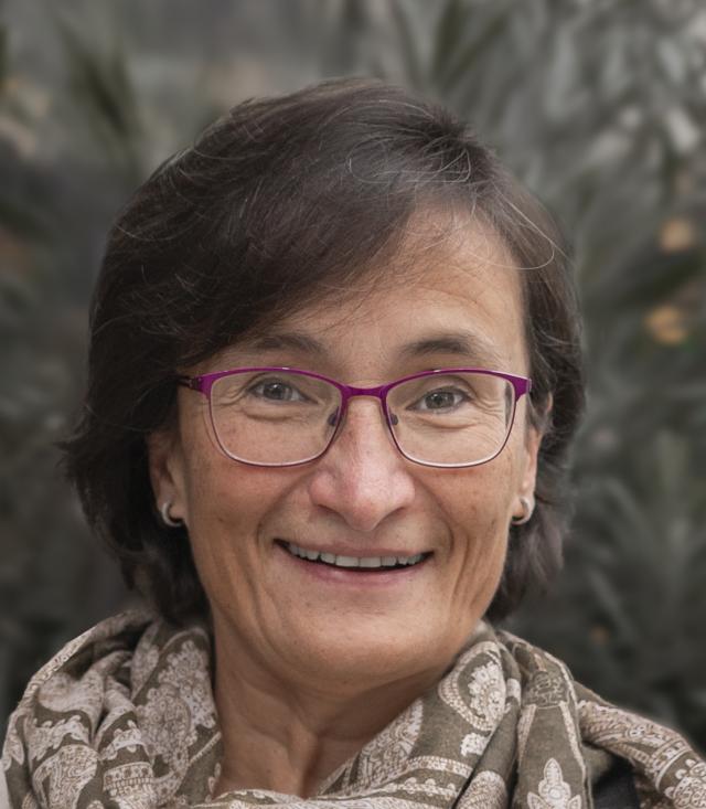 A verdade da IA é que o “Rei vai nu”. Mas ninguém se atreve a dizer isso”