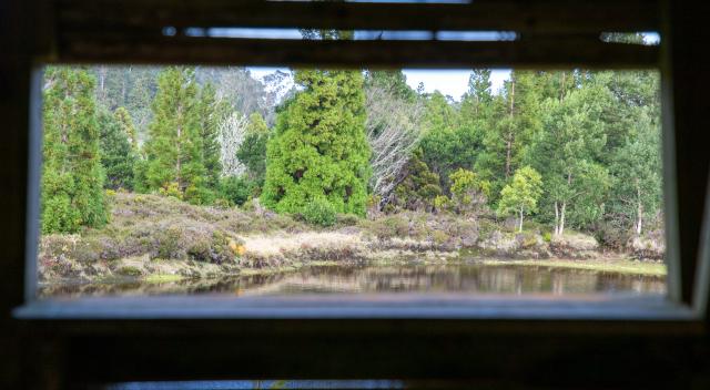 Angra do Heroísmo assinalou ontem o Dia das Florestas e da Árvore