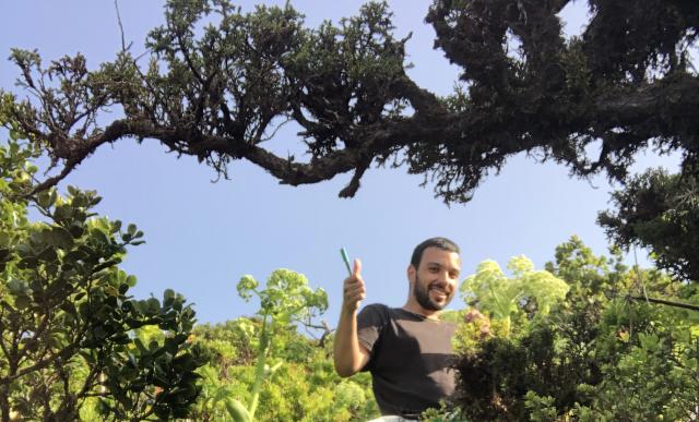 Agrião bravo ajuda a recuperar ecossistemas ribeirinhos