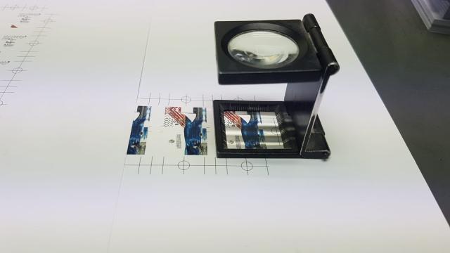 Sandra de Sousa Bairos lança o livro infantil mais pequeno escrito em português