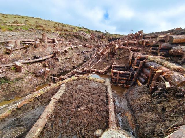 “Muros vivos” ajudam a conter cheias no Nordeste e Povoação
