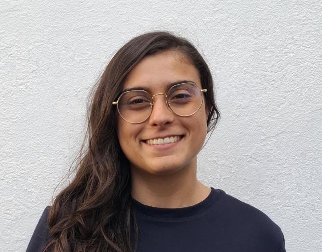 Menos estudantes açorianos no Erasmus devido a dificuldades económicas