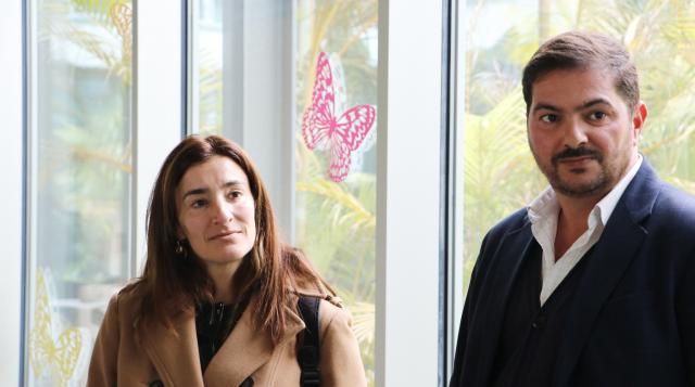 IL/Açores defende transferência de competências para municípios na cultura e desporto