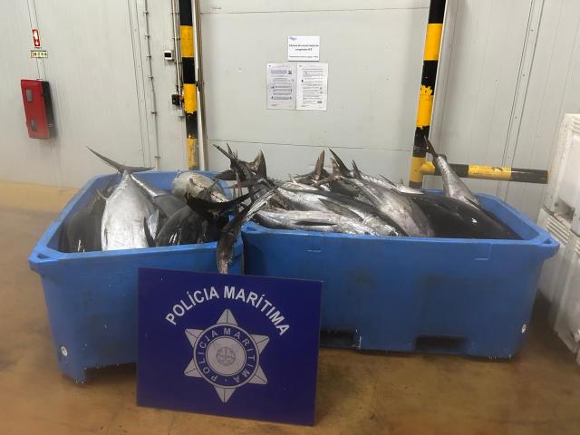 Polícia Marítima apreende 1.980 quilogramas de atum patudo