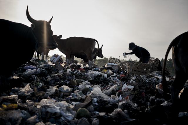 ‘Garbage in Paradise’ inaugura hoje