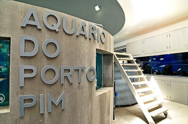 Aquário de Porto Pim reabre ao público na ilha do Faial após requalificação