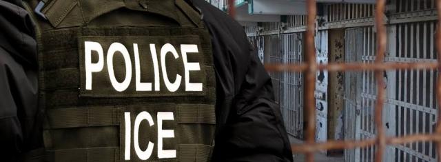 Terceirense detido pela ICE já regressou a Portugal