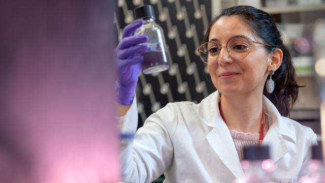 “Há um enorme potencial para a astrobiologia por explorar nas Furnas”