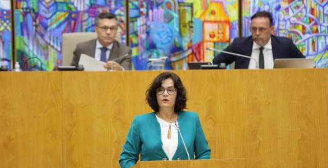 Chega/Açores quer parcerias público-privadas na gestão dos três hospitais da região