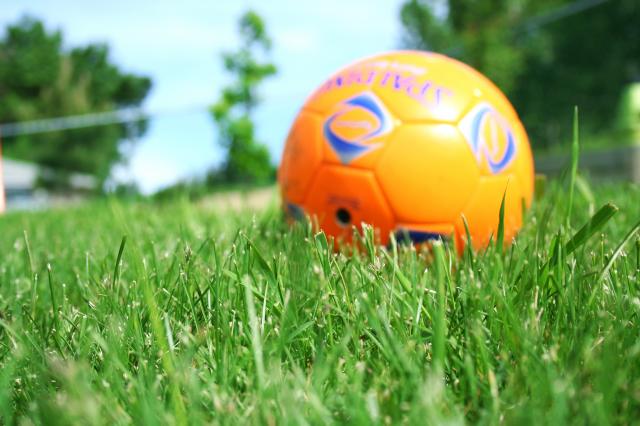 AFPD anuncia retoma dos jogos da formação