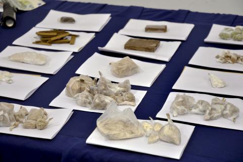 Diretor rejeita leitura do TdC sobre a Task Force