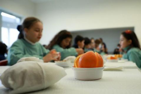 BE/Açores defende alteração na inscrição de refeições escolares em período de férias