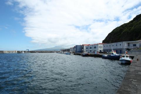 Câmara da Horta pede esclarecimentos à Portos dos Açores sobre cancelamento da escala de cruzeiro