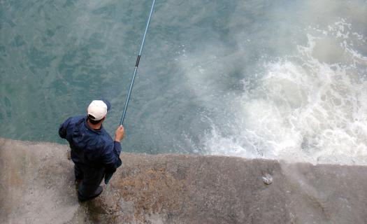 Registo eletrónico de capturas disponível para pescadores recreativos nos Açores
