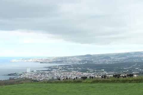 André Ventura foi o candidato mais votado na Lagoa