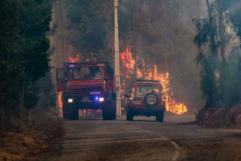 GNR deteve em sete meses 155 suspeitos atearem incêndios florestais