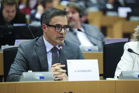 Eurodeputados portugueses pedem firmeza e união perante ameaças de Trump