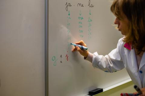 Açores com 347 vagas para docentes no próximo ano letivo