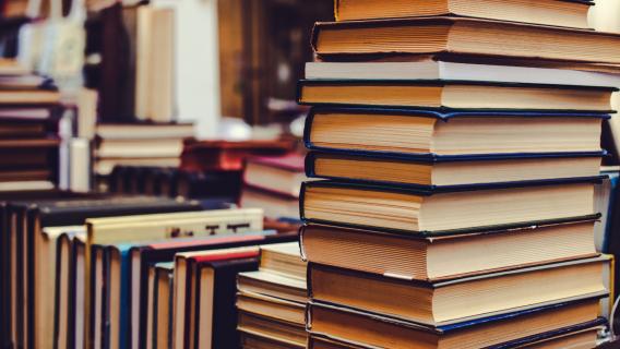 Atualizada lista de livros recomendados pelo Plano Regional de Leitura 