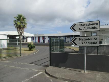 Rede regional de abate dos Açores renova certificação em bem-estar animal