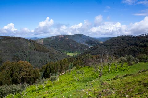 Plano de Restauro da Natureza e depósito com reembolso marcarão 2026