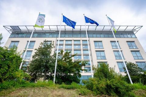 Gripe está a chegar mais cedo e centro europeu de doenças pede para acelerar vacinação