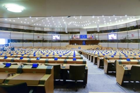 Mais de 70 eurodeputados pedem sessão plenária extraordinária sobre Palestina