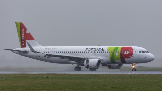 Sindicato de polícias acusa TAP e Azores Airlines de violarem normas do Espaço Schengen
