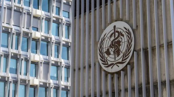 OMS avisa que hepatite viral ainda é um "desafio global" apesar dos progressos