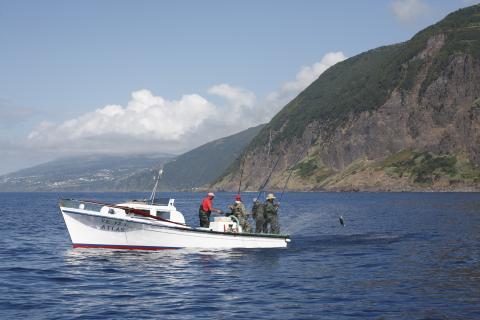Açores fecham 2025 com mais peixe descarregado