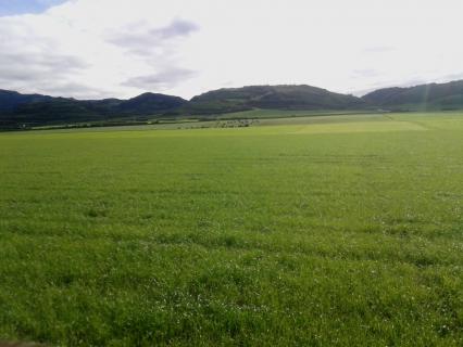 Empresários açorianos pedem a Portugal, Espanha e França que defendam a manutenção do POSEI