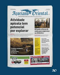 Atividade apícola tem potencial por explorar