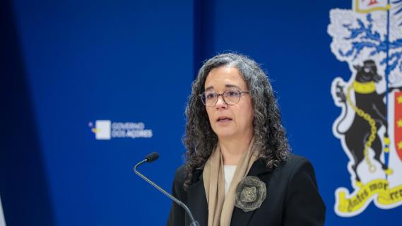 Regime de apoios culturais nos Açores acolheu “contributos” do MOVA