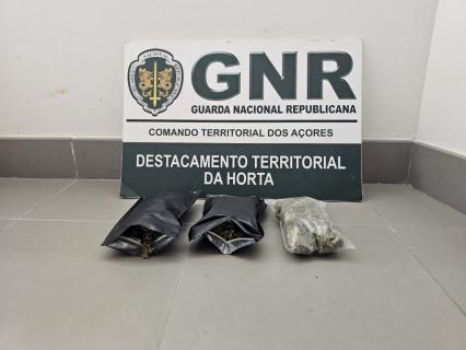 Detido suspeito de tráfico de droga em Santa Cruz das Flores