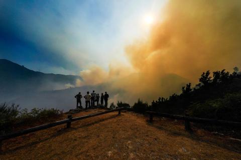 Incêndios: Fogos de sexta geração serão cada vez mais frequentes