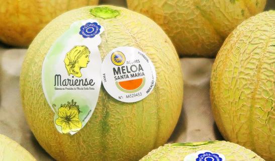 Produtores alertam que transportes estão a limitar produção da meloa de Santa Maria