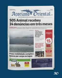 SOS Animal recebeu 24 denúncias em três meses