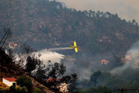 Governo quer reclusos a limpar matas e florestas para prevenir fogos