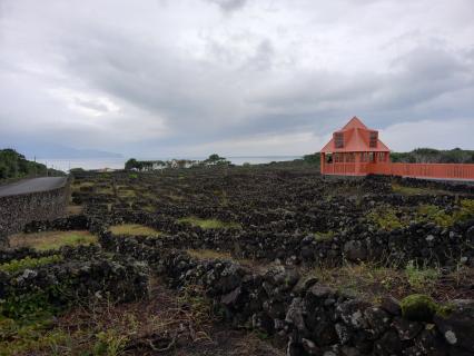 Promoção, enoturismo e qualidade dos vinhos nas prioridades do IVV Açores