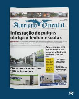 Infestação de pulgas obriga a fechar escolas