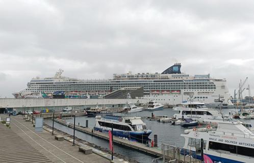 Marinha coordenou operação de busca por homem que caiu ao mar a bordo do Norwegian Jewel