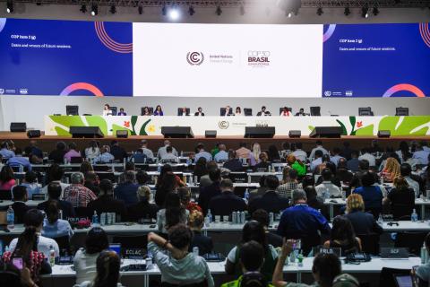 Quercus diz que acordo ficou "muito aquém das expectativas"